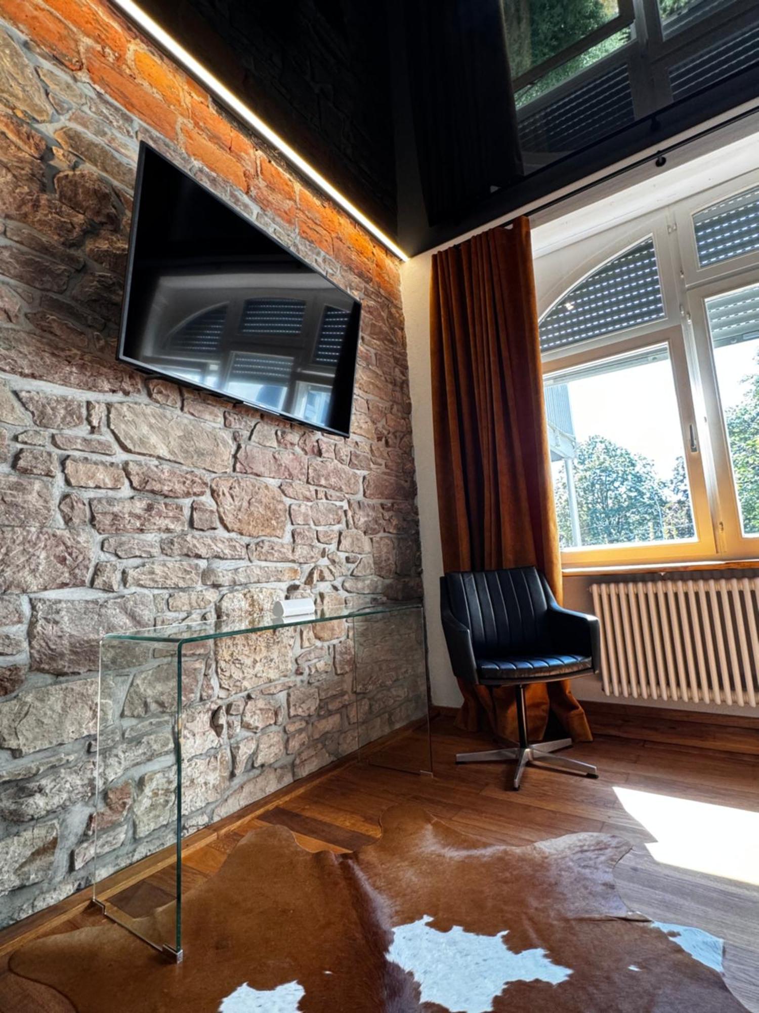 Historical Luxury Homes - Luxus Loft Wallstreet Фрайбург-у-Брайсгау Екстер'єр фото